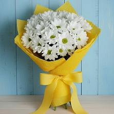 Букет цветов из:  Хризантемы в Голицыно