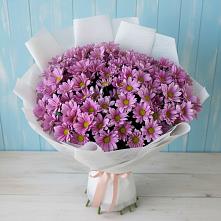 Букет цветов из:  Хризантемы в Голицыно