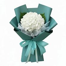 Букет цветов из:  Гортензия в Голицыно